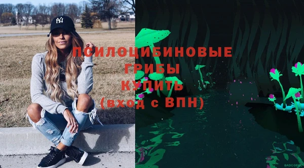 ПСИЛОЦИБИНОВЫЕ ГРИБЫ Лагань