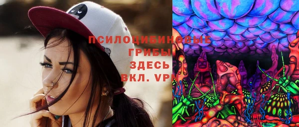 эйфоретик Ладушкин