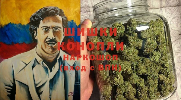 ПСИЛОЦИБИНОВЫЕ ГРИБЫ Лагань