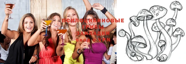 эйфоретик Ладушкин
