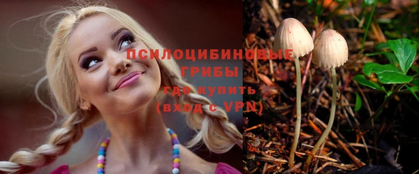 эйфоретик Ладушкин