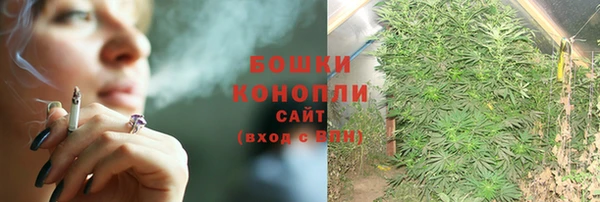 эйфоретик Ладушкин