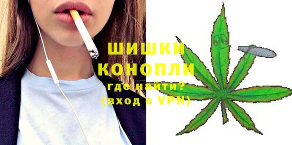 ПСИЛОЦИБИНОВЫЕ ГРИБЫ Лагань